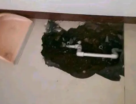 嘉荫卫生间测漏水多少钱